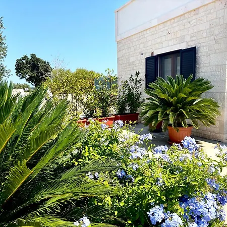 Iannuzzi Apartmán